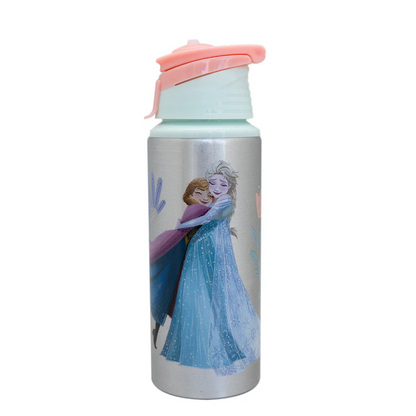 Botella Metalica Licencias