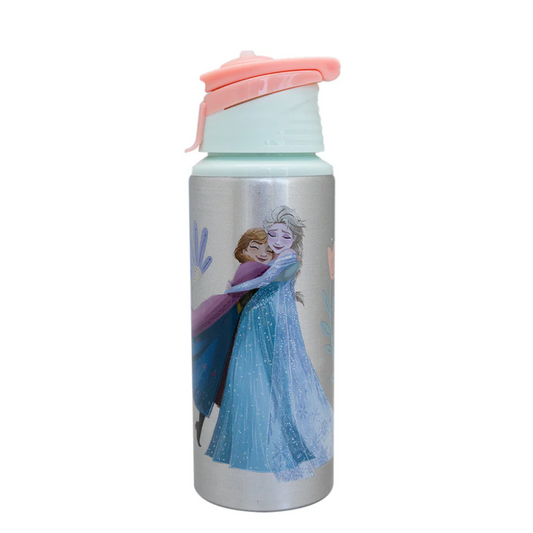 Botella Metalica Licencias