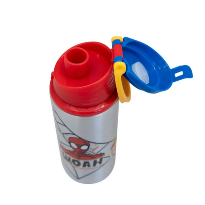 Botella Metalica Licencias