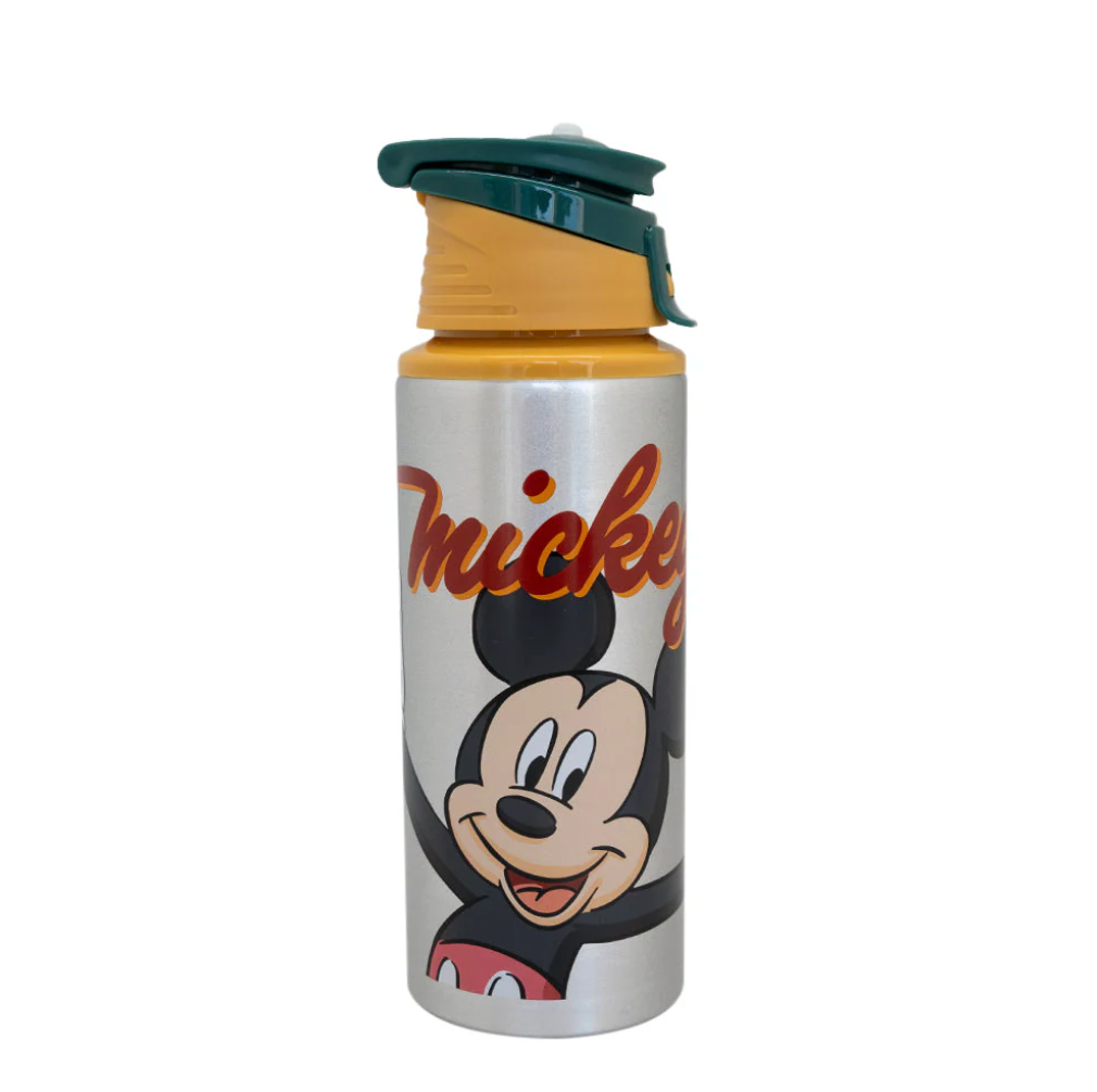 Botella Metalica Licencias