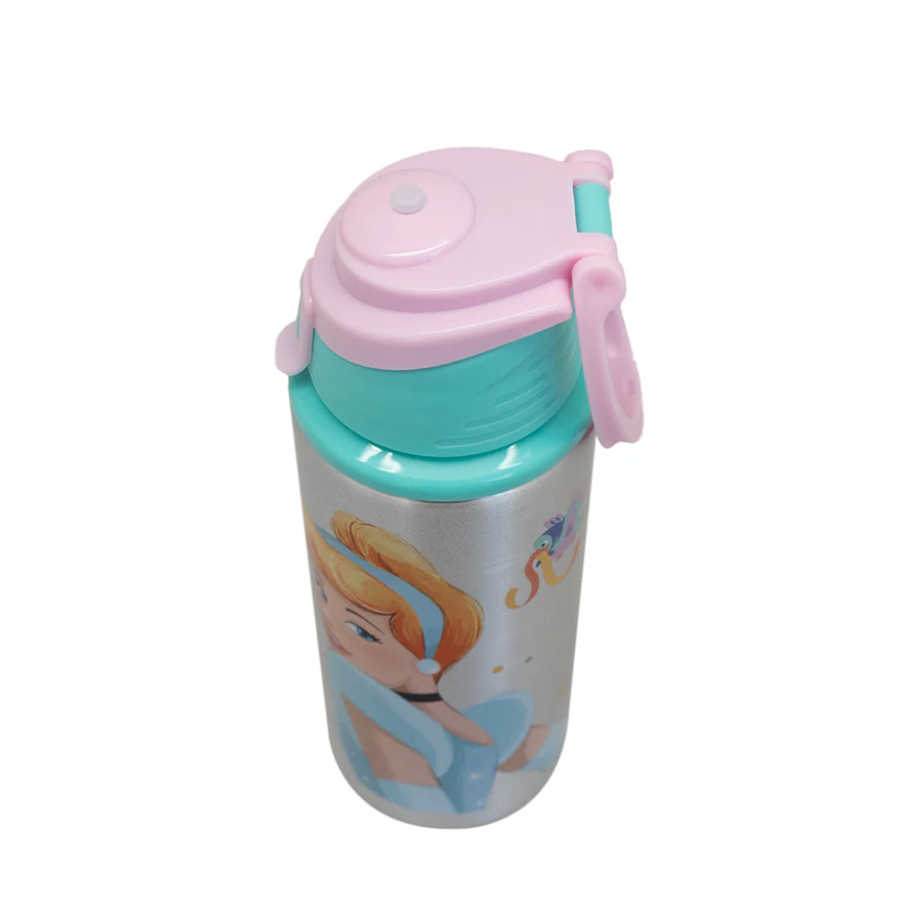 Botella Metalica Licencias